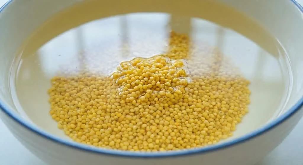 Soaking Millet
